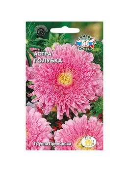 цветок Астра Голубка (китайская, принцесса, розовая). Евро, 0,2