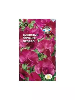 цветок Душистый горошек Пезаро (чина душистая, спенсер, темно-бордово-красный) ДУ. Евро, 0,5