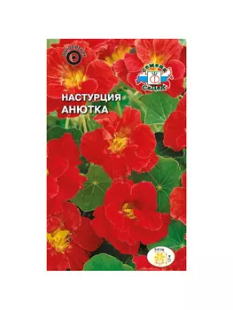 цветок Настурция Анютка (большая, махровая ярко-алая) . Евро, 1