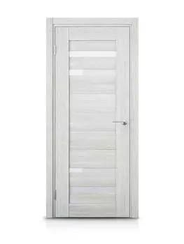 Дверь Драйв 1636-СО Бриг 80