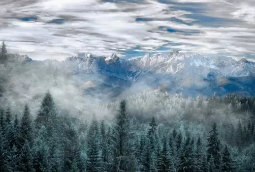 Фотообои Лесной пейзаж 300х270см