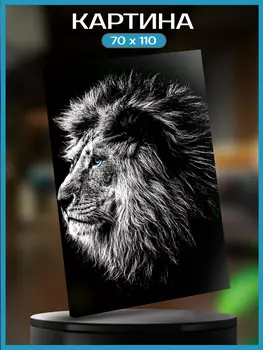 Картина на холсте Львиный взгляд 70х110 см