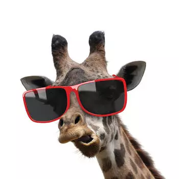 Картина на холсте Жираф в очках 30х30 см