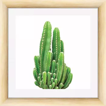Картина в раме PosterMarket Кактус 40*40 см