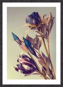 Картина в раме PosterMarket Тульпаны и ирисы 70*50 см
