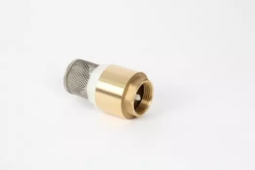 Клапан обратный с сеткой CTM 3/4"