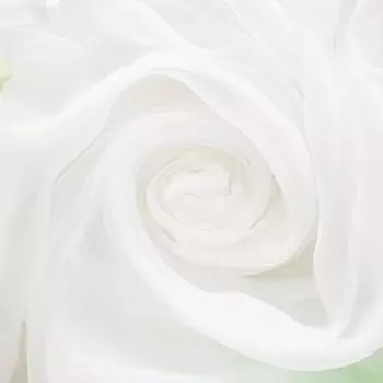 Комплект штор для кухни Витерра Весна 280х160 левая цвет белый