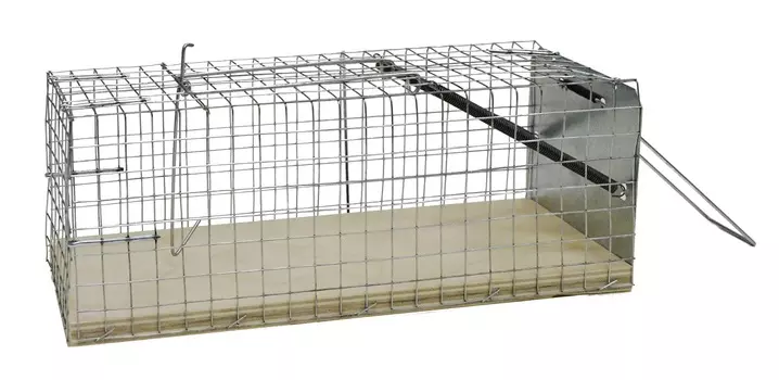 Крысоловка–клетка (ловушка)