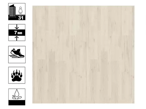 Ламинат Egger Classic 7/31 Полярный дуб