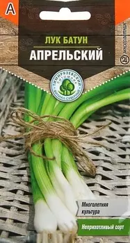 Лук-батунТимирязевский питомник Апрельский 1 г