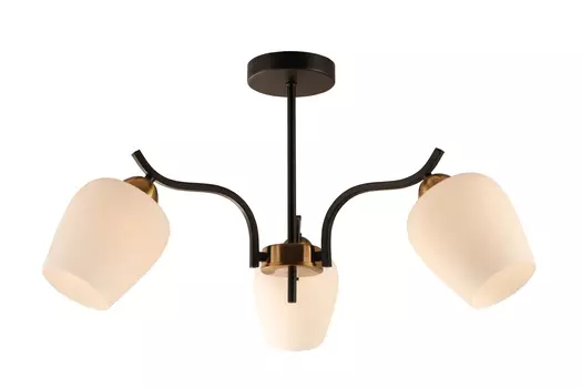 Люстра Freya FR5422PL-03BZ цвет черный белый