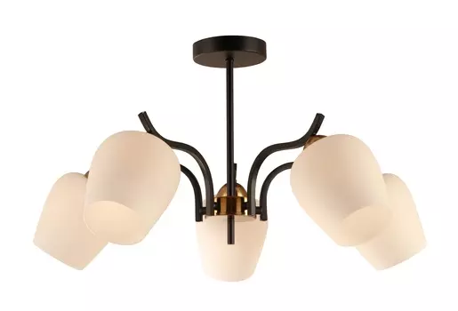 Люстра Freya FR5422PL-05BZ цвет черный белый