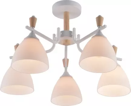 Люстра потолочная Brilliant light XA1622-5, 5*Е27, цвет белый, дерево