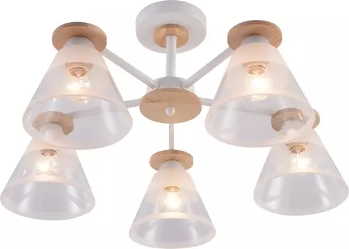 Люстра потолочная Brilliant light XA1625-5, 5*Е27, цвет белый, дерево