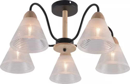 Люстра потолочная Brilliant light XA1628B-5, 5*Е27, цвет черный, дерево