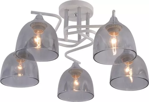 Люстра потолочная Brilliant light XA1632-5, 5*Е27, цвет белый, хром