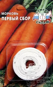 Морковь Первый сбор. Евро, 2