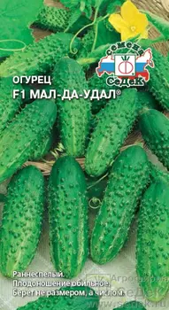 Огурец Мал-да-удал F1 (ранний, ПК, 8-10см, плотн, хрус, аромат, высокоурож.). Евро, 0,2