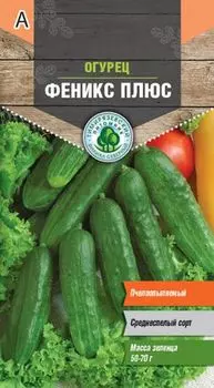 Огурец Тимирязевский питомник Феникс плюс позднеспелый 0,5 г