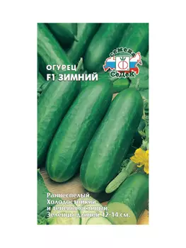 Огурец Зимний F1 (ранний, ПК, тепл, ПУ, 12-14см, гладк, сладк, без горечи, салатн, холодост, теневын