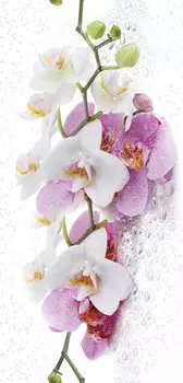 Панель пласт.- 0155 кор (2700*250*8)