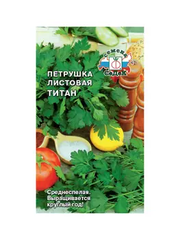 петрушка Титан (листовая)(ср.спел.,мелкоизр.крупн.,т.-зелен.,хор.вкус и аромат). Евро, 2