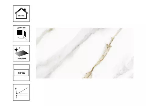 Плитка керамическая GlobalTile Capella 50х25см, белый