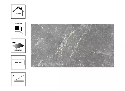 Плитка керамическая GlobalTile Capella 50х25см, серый