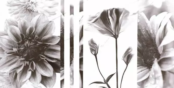 Плитка керамическая Primavera Галатея 30x60 декор цветы, ректификат