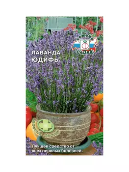 пряность Лаванда Юдифь 0,05 г(многолетн.,прян.,медонос.,декорат., сер.-зелен./цв.фиол.-голуб., лекар