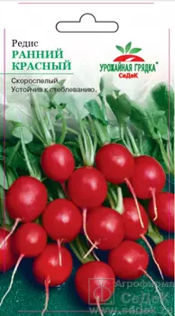 Редис Ранний Красный. Евро, 3