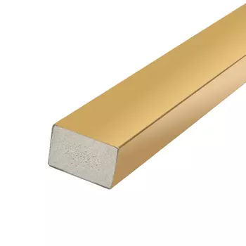 Рейка на стену 20х30х2900 Золото