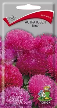 Семена цветов Астра ювел Микс 0,2 гр