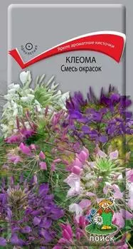 Семена цветов Клеома Смесь окрасок 1 гр