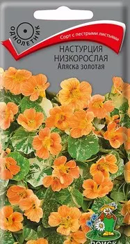 Семена цветов Настурция низкорослая Аляска золотая 1 гр