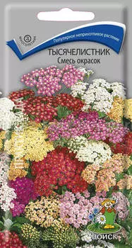 Семена цветов Тысячелистник Смесь окрасок 0,1 гр