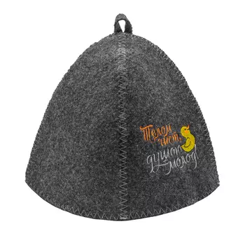 Шапка классическая серая с вышивкой "Телом чист, душою молод" (без упаковки)