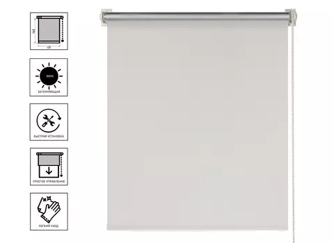 Штора рулонная PRAKTO Blackout Silver 45х160 см, белый