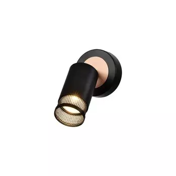 Спот настенный G81055/1wBK+BR BK