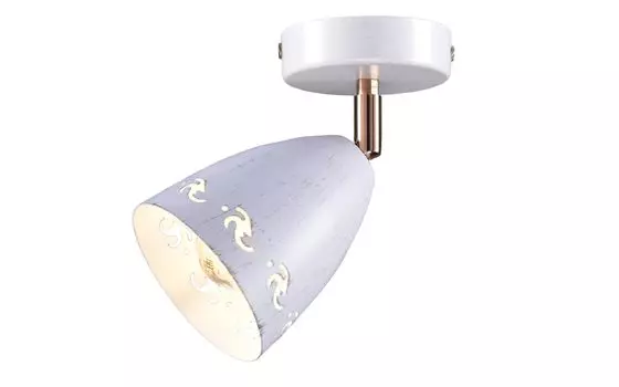 Светильник настенно-потолочный Гавот РС21872 WT+FG/1С 1х60Вт Е27 бело-золотой