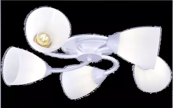 Светильник потолочный РС22098 WT+CR/5C 5хЕ27 60Вт белый, хром