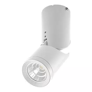 Светодиодный светильник Feron AL517 накладной 10W 4000K белый наклонный