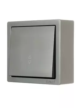 Выключатель 1-клавишный LETO LEZARD проходной, платина