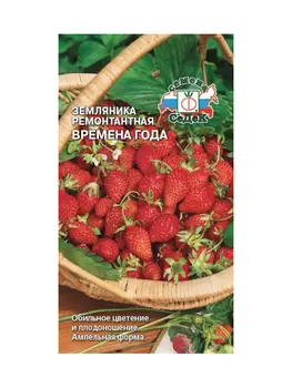 земляника Времена Года ( мелкоплодная ремонтант.) (ран.спел., конич., красн., сладк., 4-7 г.). Евро
