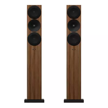 Напольная акустика Amphion