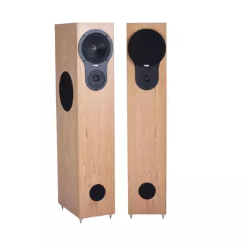 Напольная акустика Rega