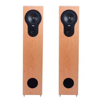 Напольная акустика Rega