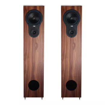 Напольная акустика Rega