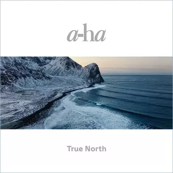 Пластинка a-ha