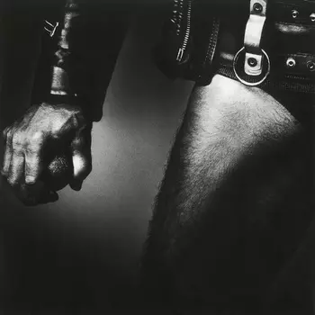 Пластинка Accept